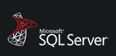 Sql Server logo